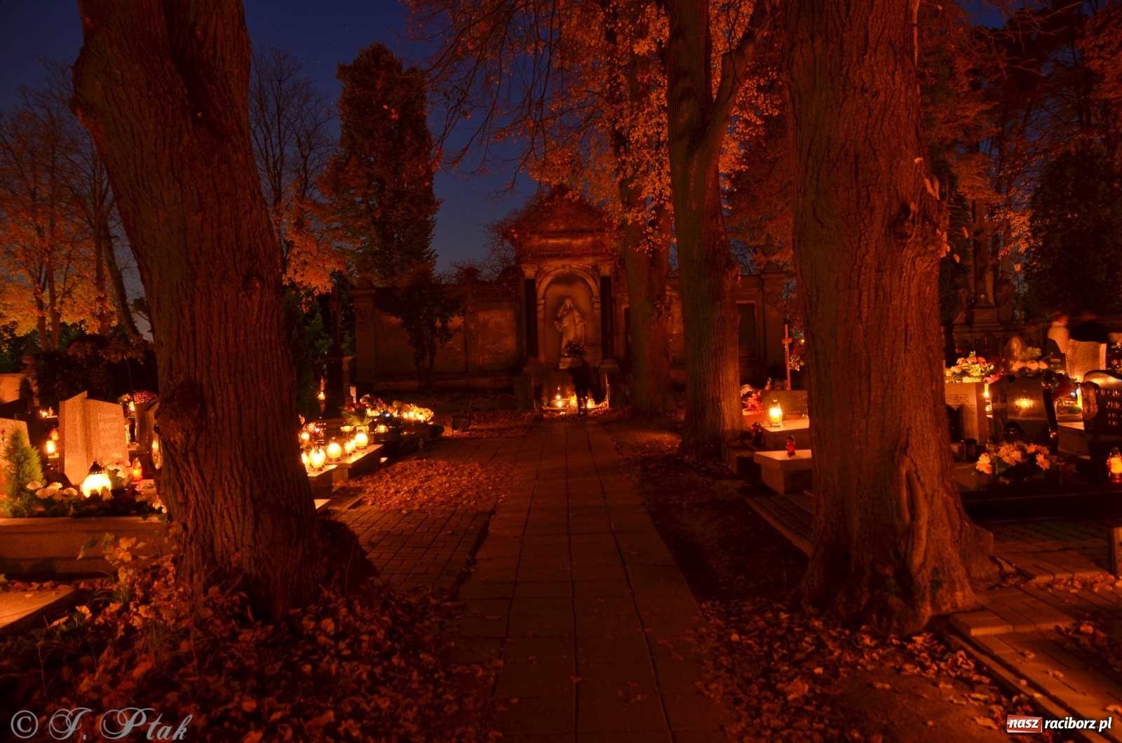 Zdjęcie w galerii na portalu naszraciborz.pl: Jeruzalem w wigilię Wszystkich Świętych. 1 listopada Ocicka przy cmentarzu będzie zamknięta wiadomości z regionu