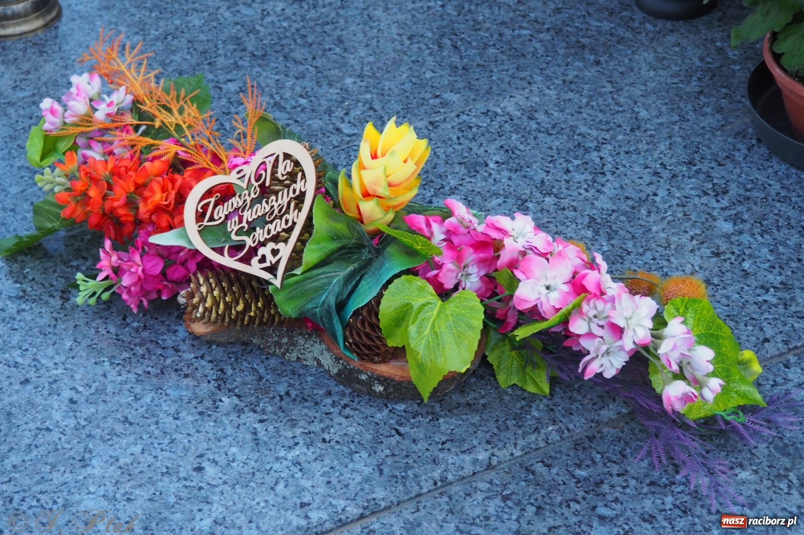 Zdjęcie w galerii na portalu naszraciborz.pl: Jeruzalem w wigilię Wszystkich Świętych. 1 listopada Ocicka przy cmentarzu będzie zamknięta wiadomości z regionu