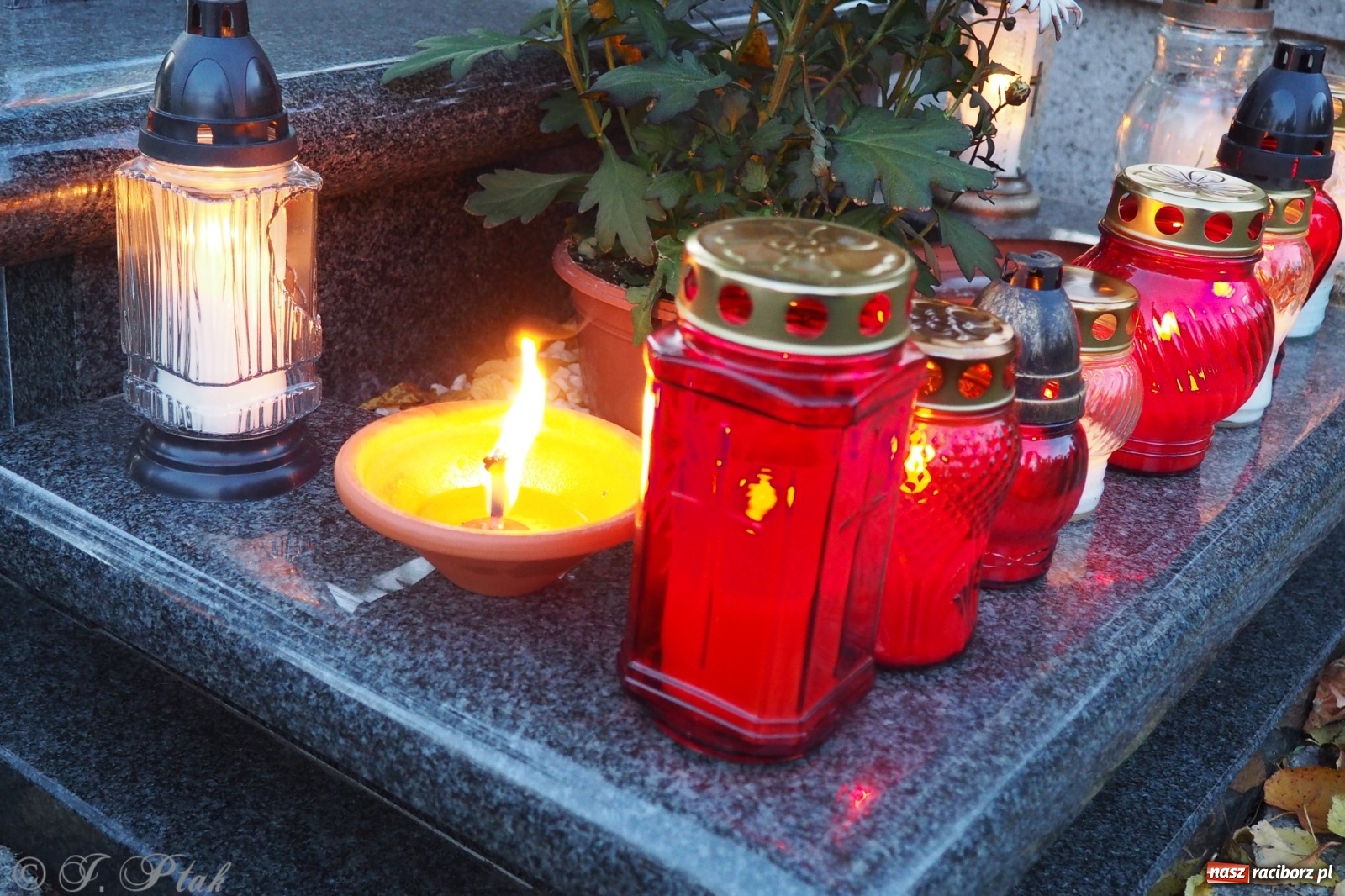 Zdjęcie w galerii na portalu naszraciborz.pl: Jeruzalem w wigilię Wszystkich Świętych. 1 listopada Ocicka przy cmentarzu będzie zamknięta wiadomości z regionu