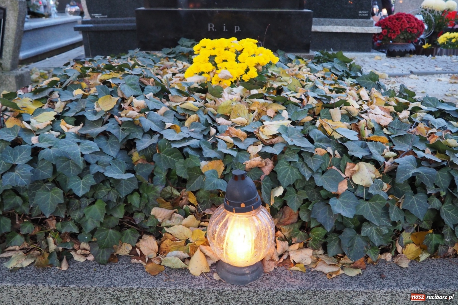 Zdjęcie w galerii na portalu naszraciborz.pl: Jeruzalem w wigilię Wszystkich Świętych. 1 listopada Ocicka przy cmentarzu będzie zamknięta wiadomości z regionu