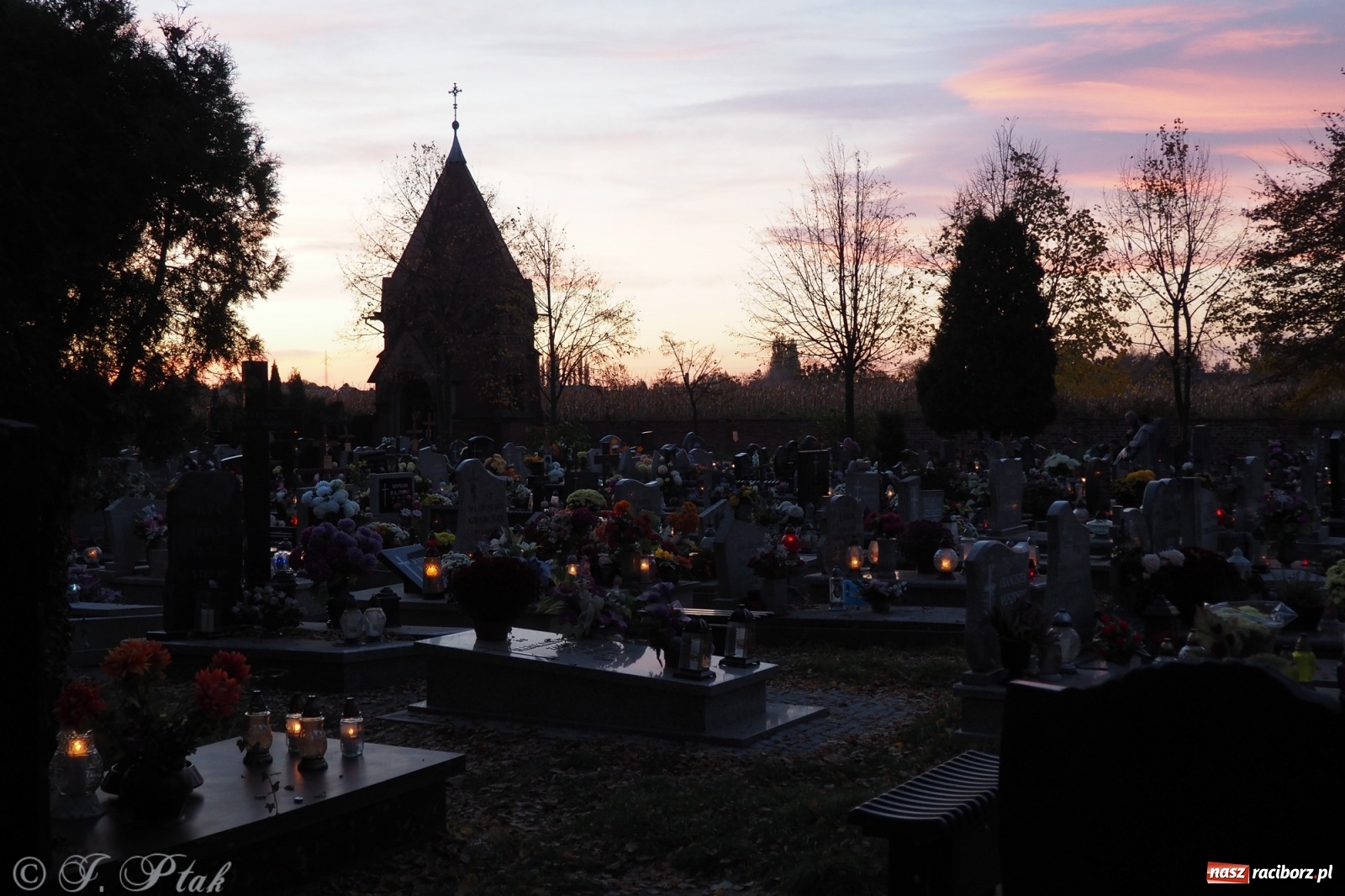 Zdjęcie w galerii na portalu naszraciborz.pl: Jeruzalem w wigilię Wszystkich Świętych. 1 listopada Ocicka przy cmentarzu będzie zamknięta wiadomości z regionu