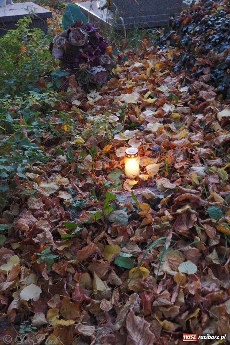 Zdjęcie w galerii na portalu naszraciborz.pl: Jeruzalem w wigilię Wszystkich Świętych. 1 listopada Ocicka przy cmentarzu będzie zamknięta wiadomości z regionu