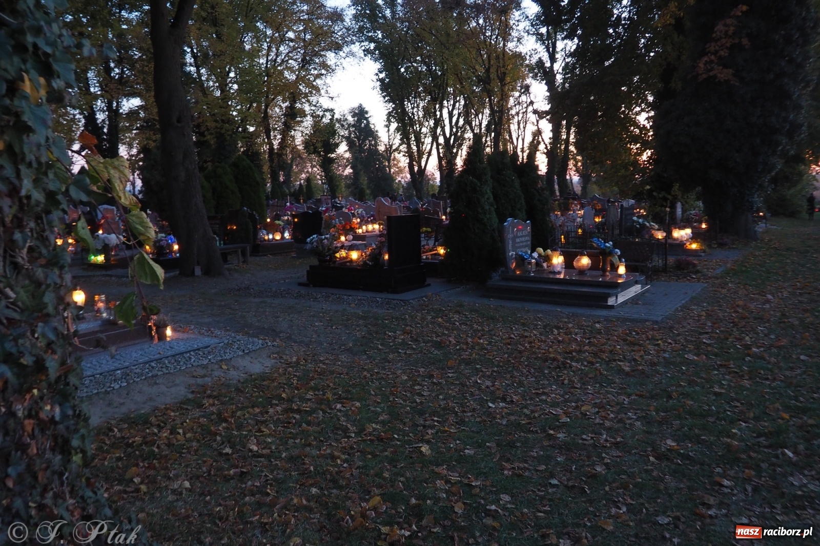 Zdjęcie w galerii na portalu naszraciborz.pl: Jeruzalem w wigilię Wszystkich Świętych. 1 listopada Ocicka przy cmentarzu będzie zamknięta wiadomości z regionu