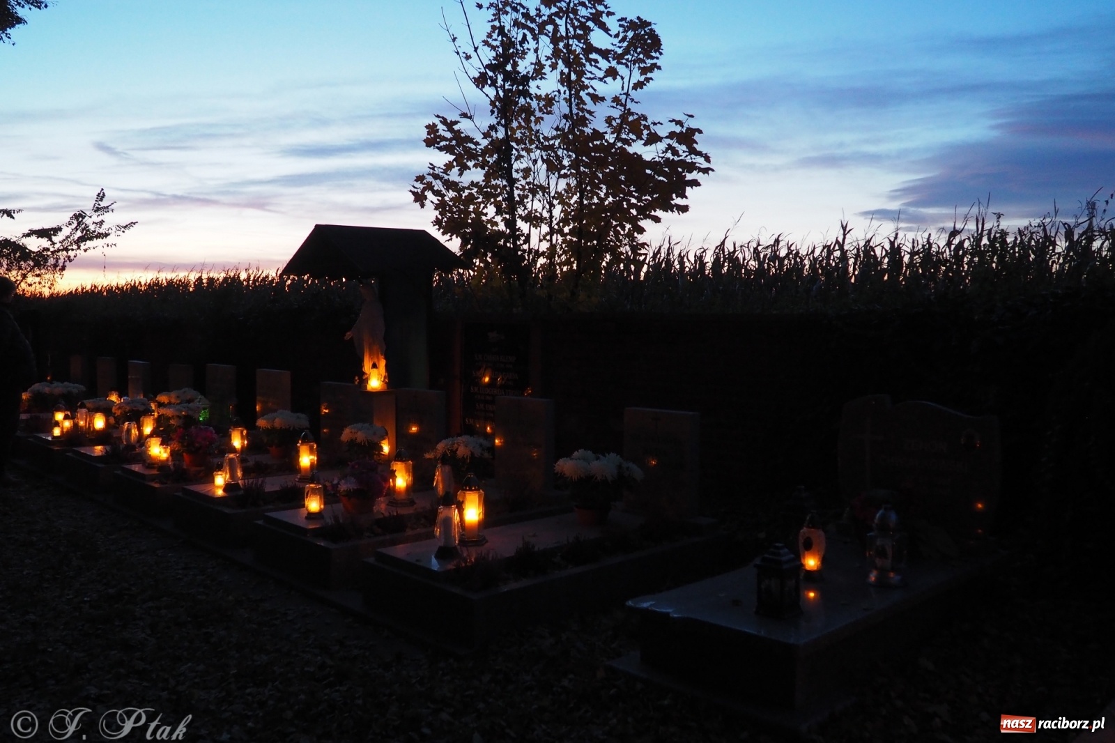 Zdjęcie w galerii na portalu naszraciborz.pl: Jeruzalem w wigilię Wszystkich Świętych. 1 listopada Ocicka przy cmentarzu będzie zamknięta wiadomości z regionu