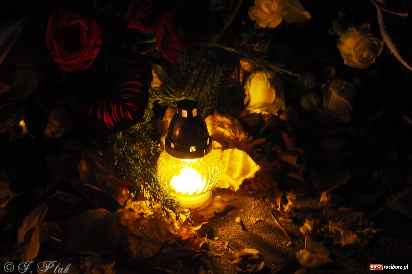 Zdjęcie w galerii na portalu naszraciborz.pl: Jeruzalem w wigilię Wszystkich Świętych. 1 listopada Ocicka przy cmentarzu będzie zamknięta wiadomości z regionu