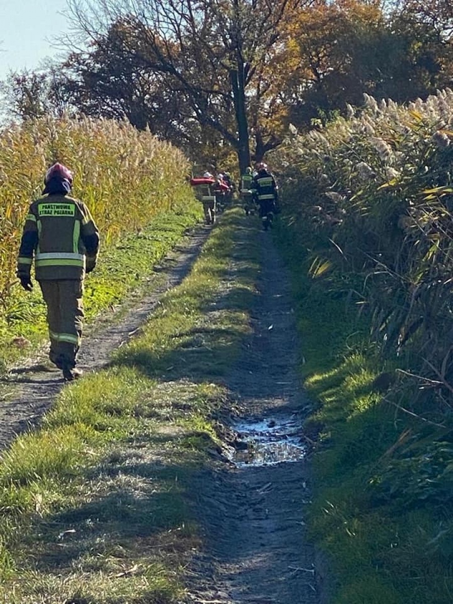Zdjęcie w galerii na portalu naszraciborz.pl: Jedna osoba ranna w wypadku z bryczką w Lubomi wiadomości z regionu