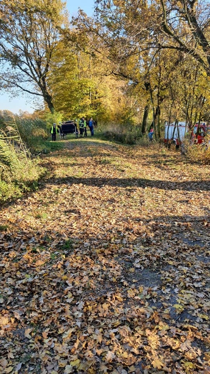 Zdjęcie w galerii na portalu naszraciborz.pl: Jedna osoba ranna w wypadku z bryczką w Lubomi wiadomości z regionu