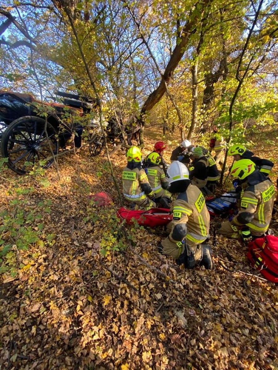 Zdjęcie w galerii na portalu naszraciborz.pl: Jedna osoba ranna w wypadku z bryczką w Lubomi wiadomości z regionu