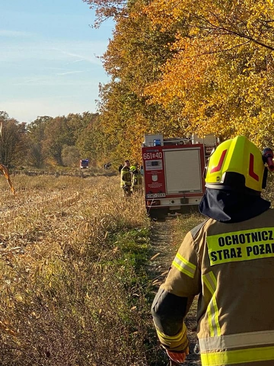 Zdjęcie w galerii na portalu naszraciborz.pl: Jedna osoba ranna w wypadku z bryczką w Lubomi wiadomości z regionu