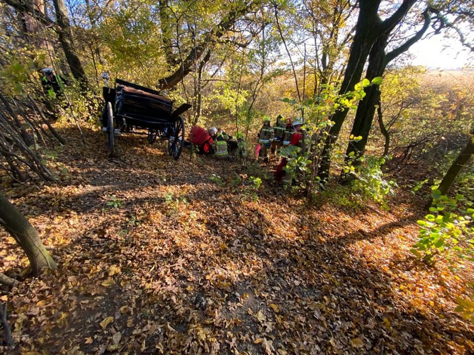 Zdjęcie w galerii na portalu naszraciborz.pl: Jedna osoba ranna w wypadku z bryczką w Lubomi wiadomości z regionu