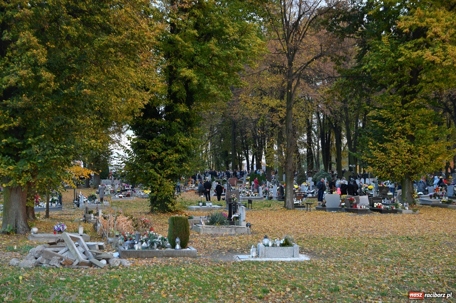 Zdjęcie w galerii na portalu naszraciborz.pl: Procesja na Wszystkich Świętych na cmentarzu Jeruzalem [WIDEO] wiadomości z regionu