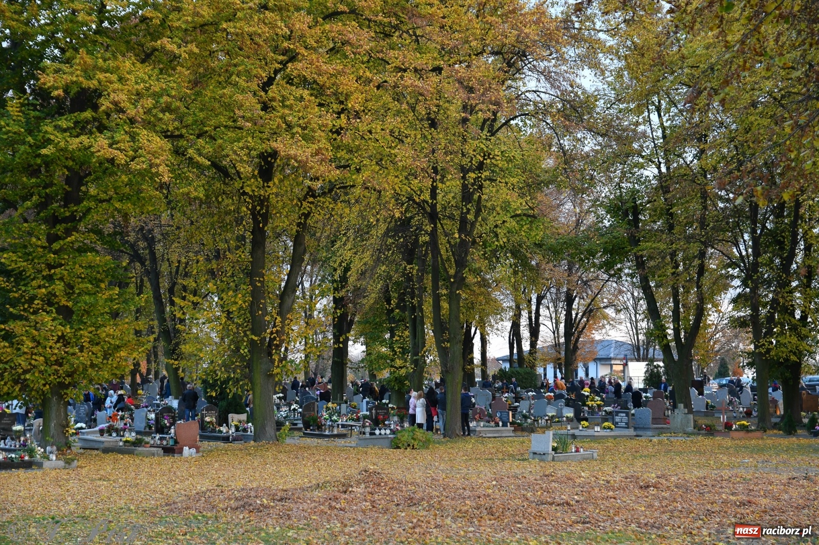 Zdjęcie w galerii na portalu naszraciborz.pl: Procesja na Wszystkich Świętych na cmentarzu Jeruzalem [WIDEO] wiadomości z regionu