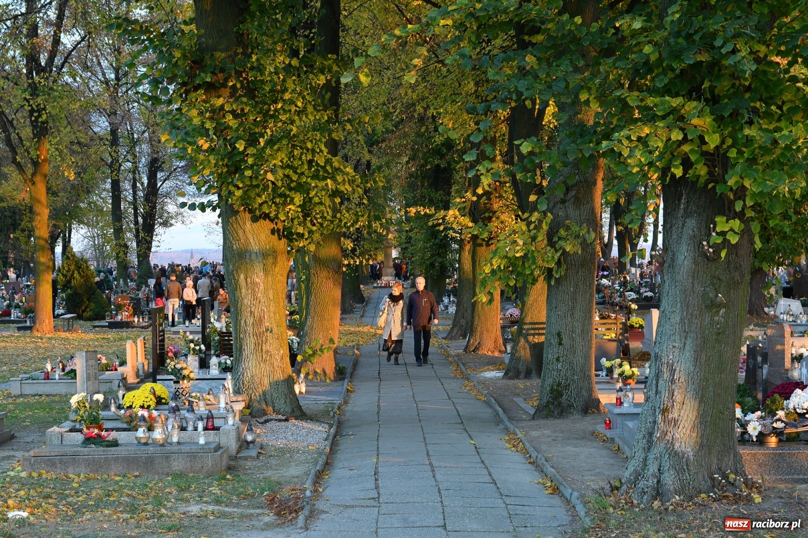 Zdjęcie w galerii na portalu naszraciborz.pl: Procesja na Wszystkich Świętych na cmentarzu Jeruzalem [WIDEO] wiadomości z regionu