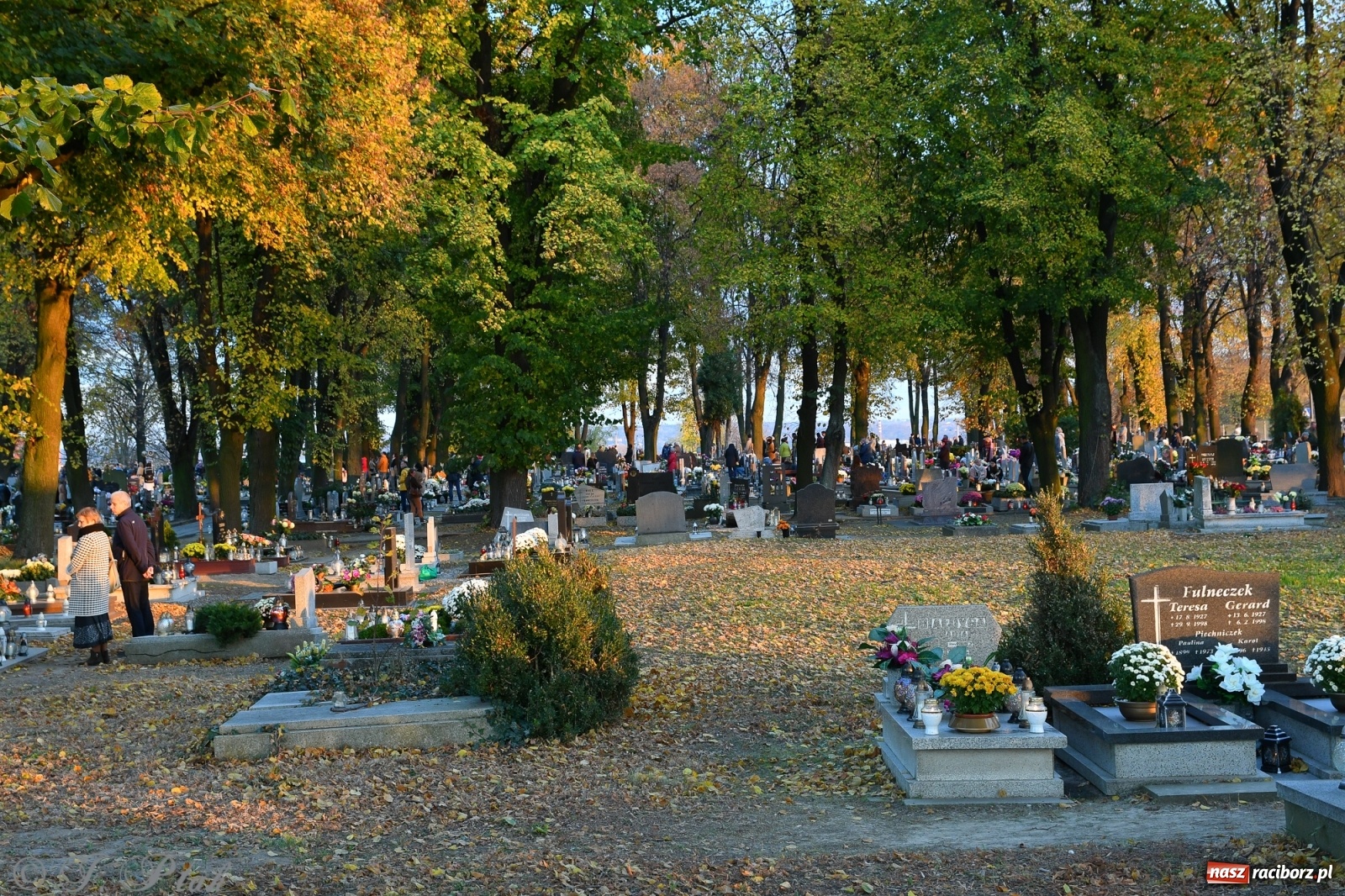 Zdjęcie w galerii na portalu naszraciborz.pl: Procesja na Wszystkich Świętych na cmentarzu Jeruzalem [WIDEO] wiadomości z regionu