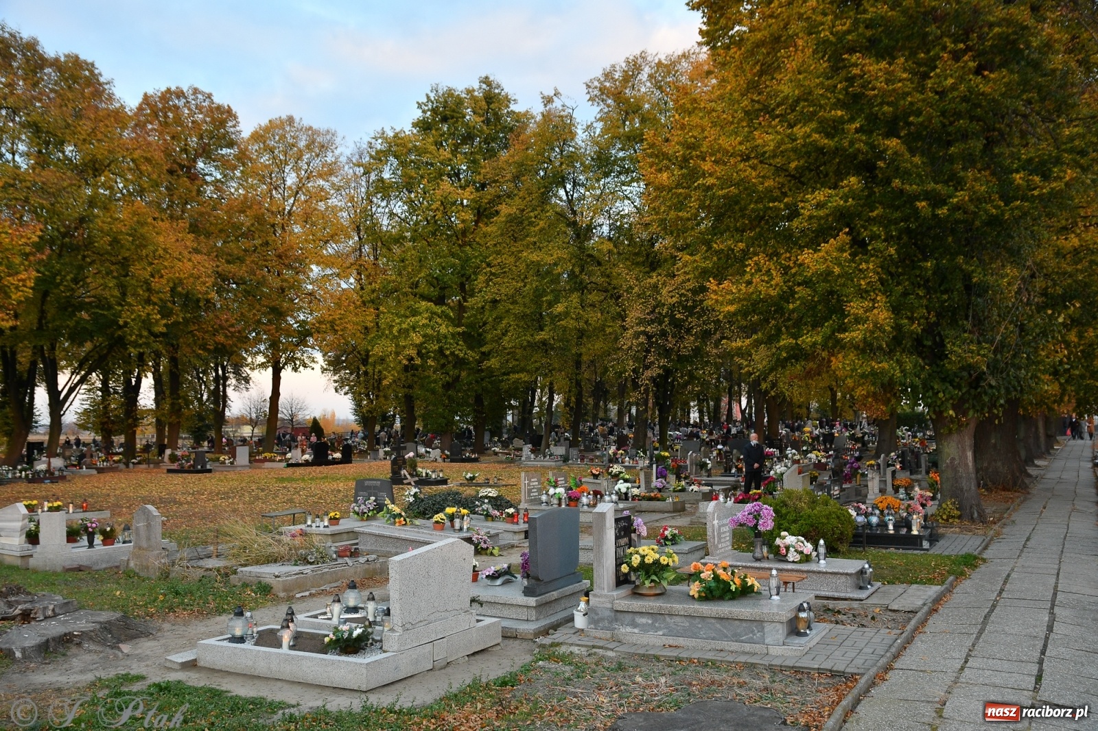 Zdjęcie w galerii na portalu naszraciborz.pl: Procesja na Wszystkich Świętych na cmentarzu Jeruzalem [WIDEO] wiadomości z regionu
