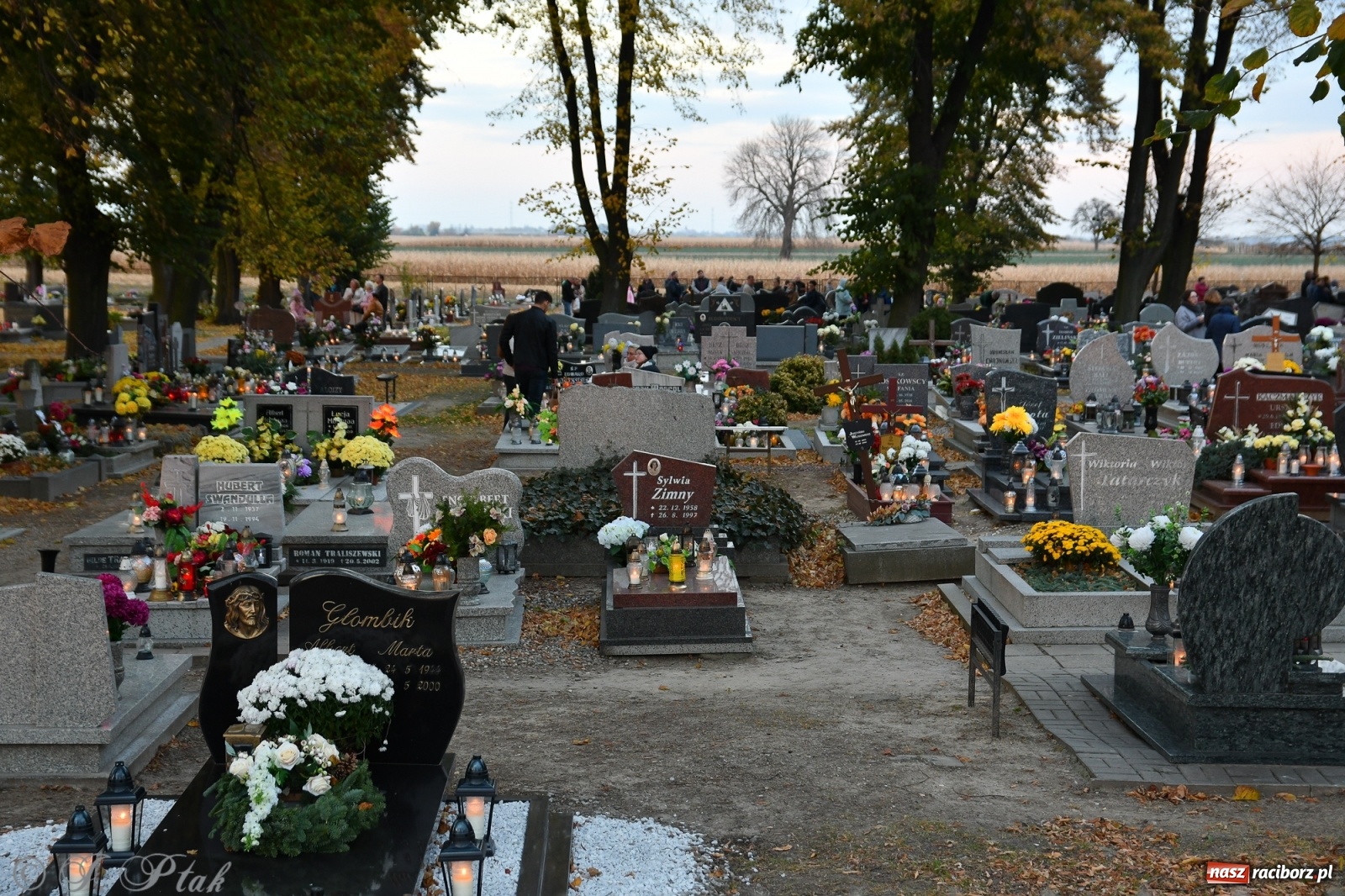 Zdjęcie w galerii na portalu naszraciborz.pl: Procesja na Wszystkich Świętych na cmentarzu Jeruzalem [WIDEO] wiadomości z regionu