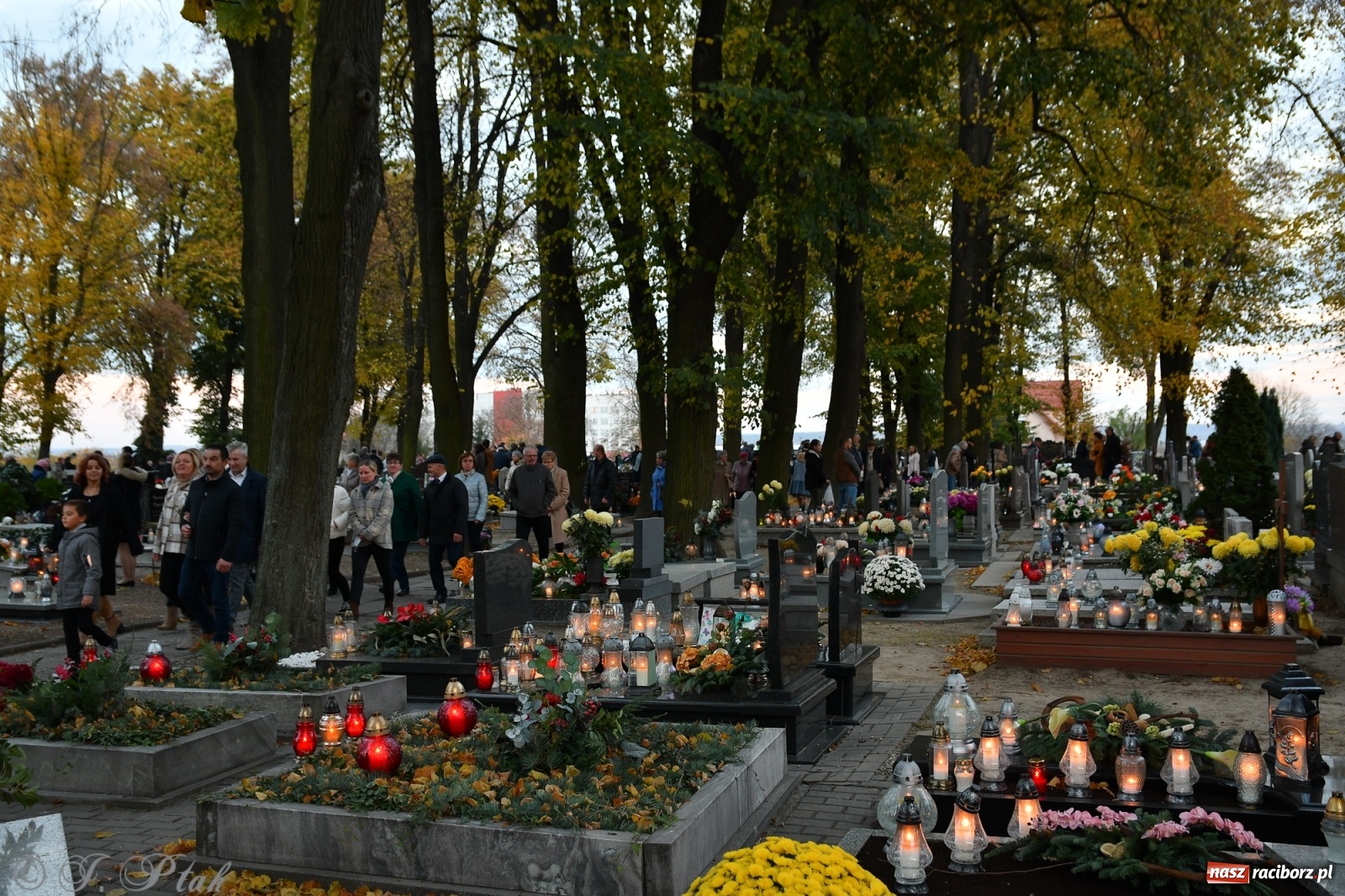 Zdjęcie w galerii na portalu naszraciborz.pl: Procesja na Wszystkich Świętych na cmentarzu Jeruzalem [WIDEO] wiadomości z regionu