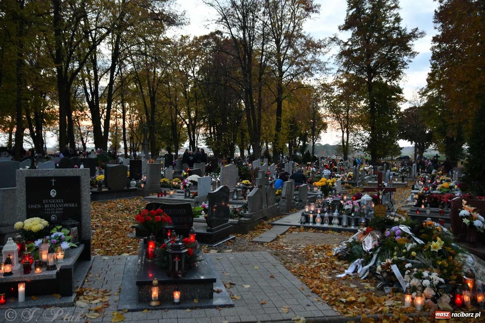Zdjęcie w galerii na portalu naszraciborz.pl: Procesja na Wszystkich Świętych na cmentarzu Jeruzalem [WIDEO] wiadomości z regionu