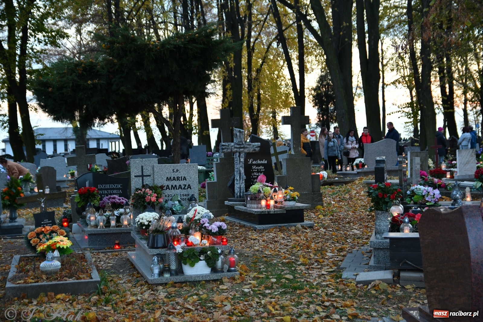 Zdjęcie w galerii na portalu naszraciborz.pl: Procesja na Wszystkich Świętych na cmentarzu Jeruzalem [WIDEO] wiadomości z regionu
