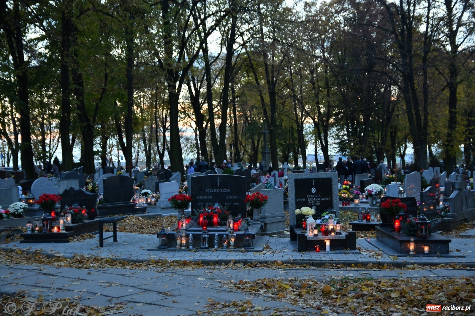 Zdjęcie w galerii na portalu naszraciborz.pl: Procesja na Wszystkich Świętych na cmentarzu Jeruzalem [WIDEO] wiadomości z regionu