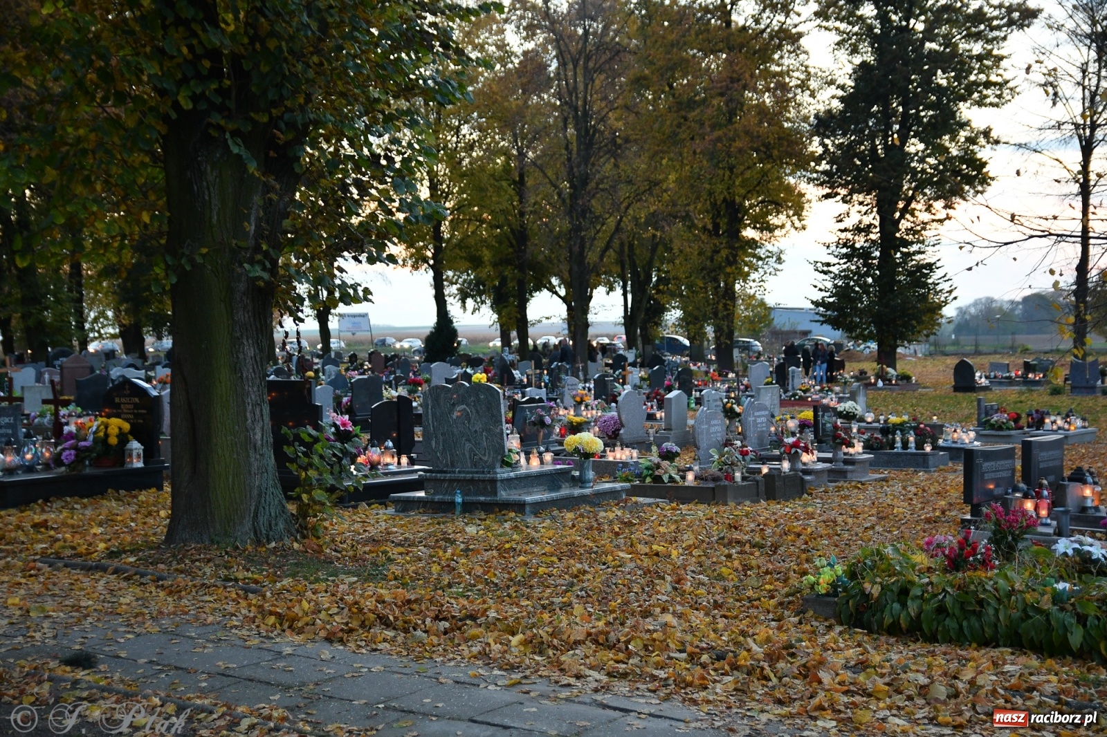 Zdjęcie w galerii na portalu naszraciborz.pl: Procesja na Wszystkich Świętych na cmentarzu Jeruzalem [WIDEO] wiadomości z regionu