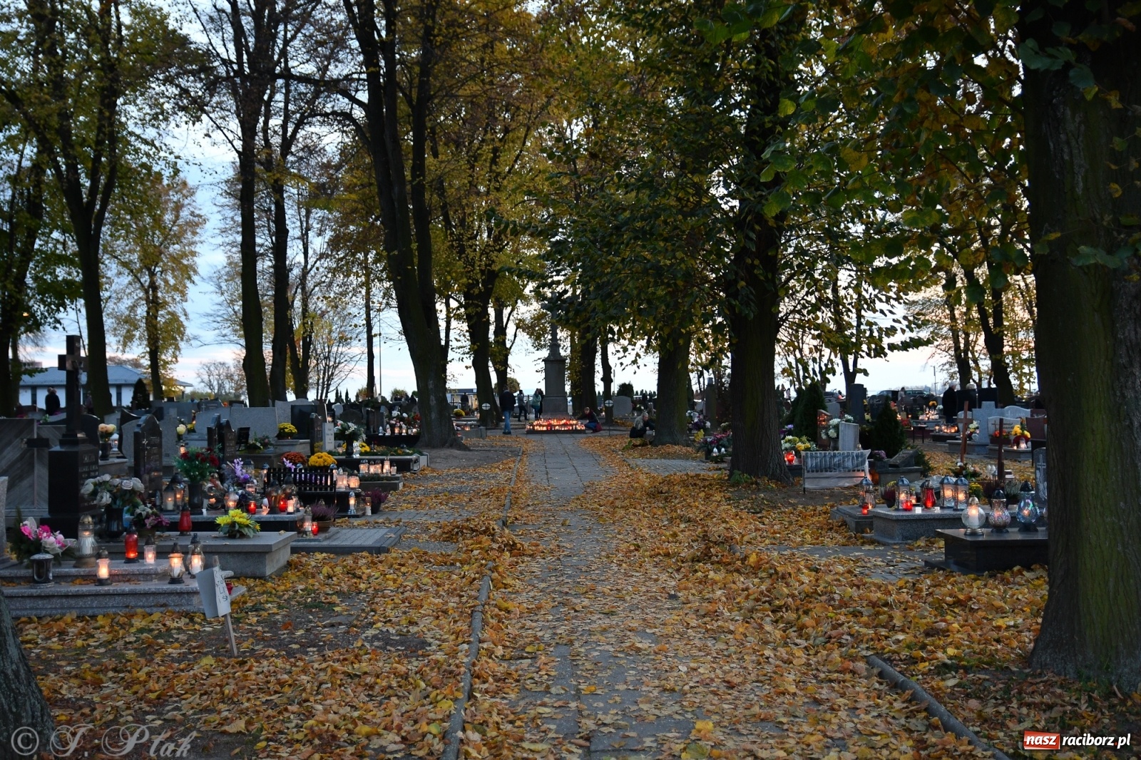 Zdjęcie w galerii na portalu naszraciborz.pl: Procesja na Wszystkich Świętych na cmentarzu Jeruzalem [WIDEO] wiadomości z regionu