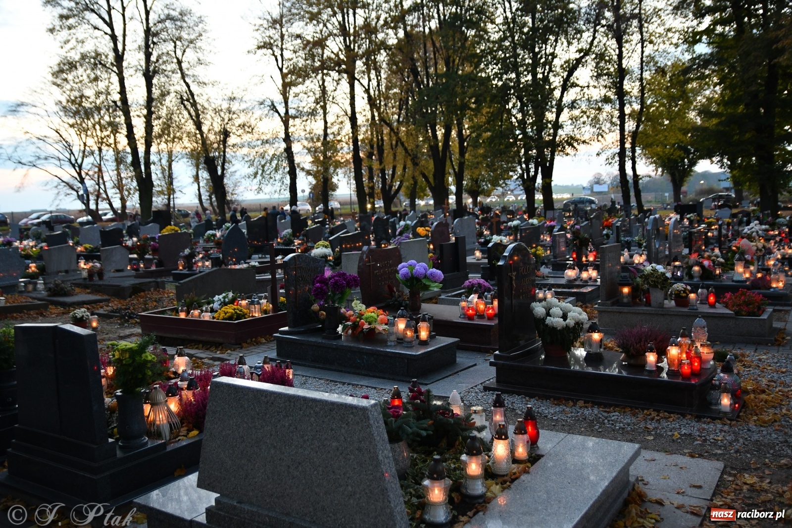 Zdjęcie w galerii na portalu naszraciborz.pl: Procesja na Wszystkich Świętych na cmentarzu Jeruzalem [WIDEO] wiadomości z regionu