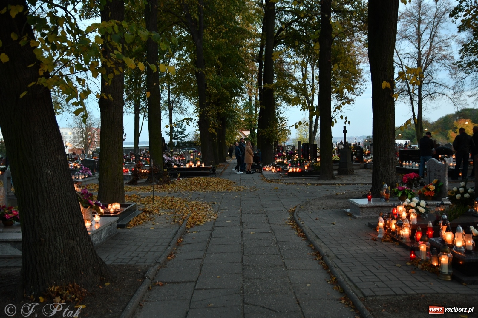 Zdjęcie w galerii na portalu naszraciborz.pl: Procesja na Wszystkich Świętych na cmentarzu Jeruzalem [WIDEO] wiadomości z regionu