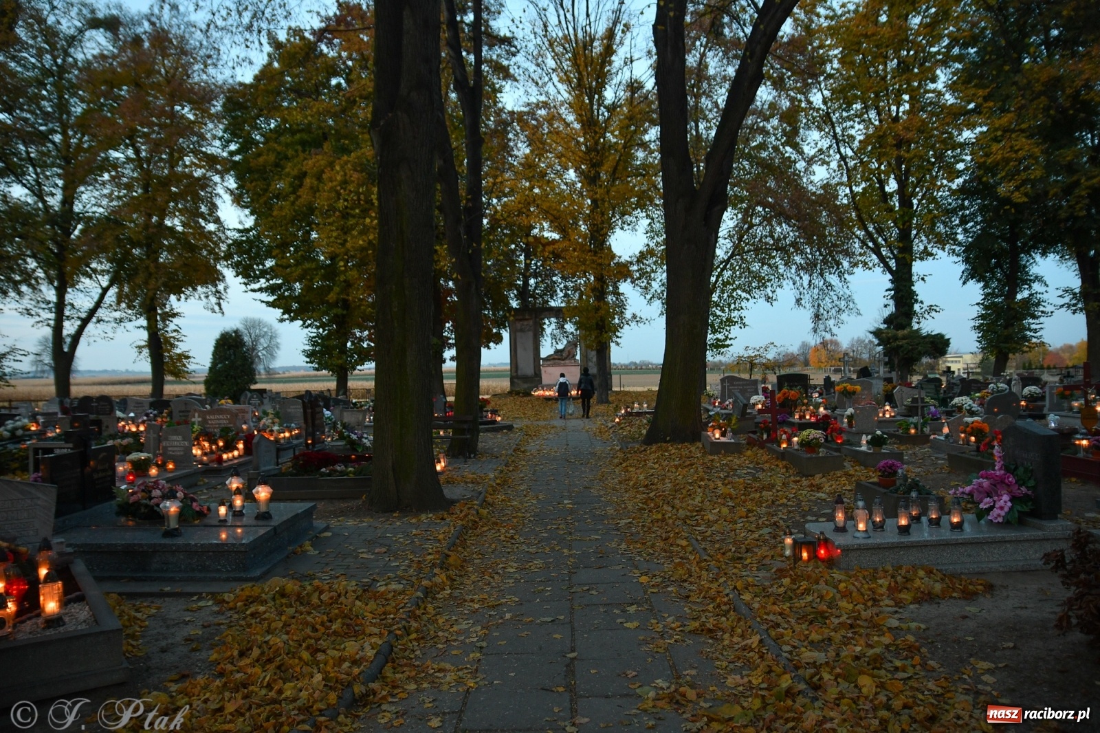 Zdjęcie w galerii na portalu naszraciborz.pl: Procesja na Wszystkich Świętych na cmentarzu Jeruzalem [WIDEO] wiadomości z regionu