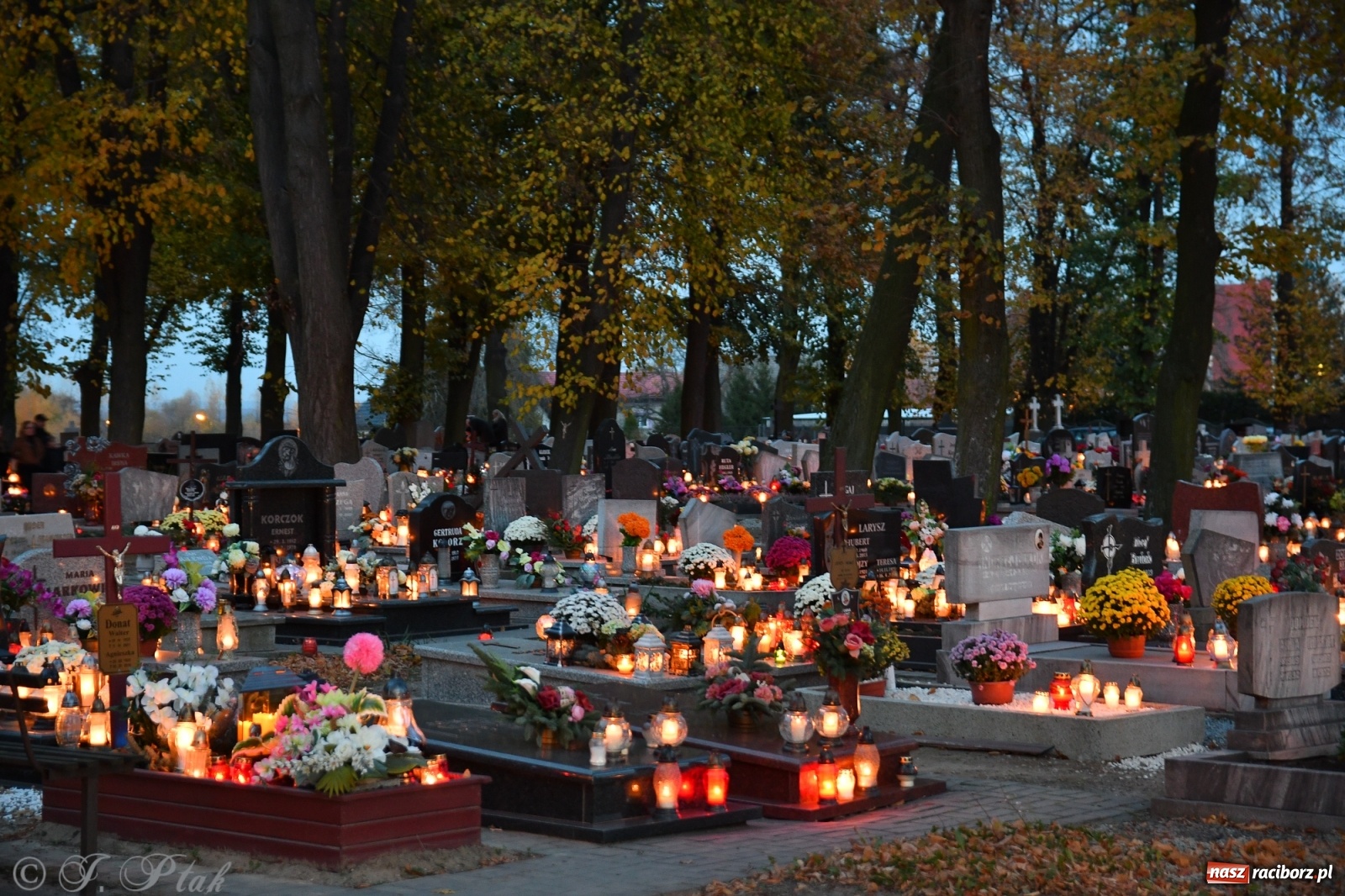 Zdjęcie w galerii na portalu naszraciborz.pl: Procesja na Wszystkich Świętych na cmentarzu Jeruzalem [WIDEO] wiadomości z regionu