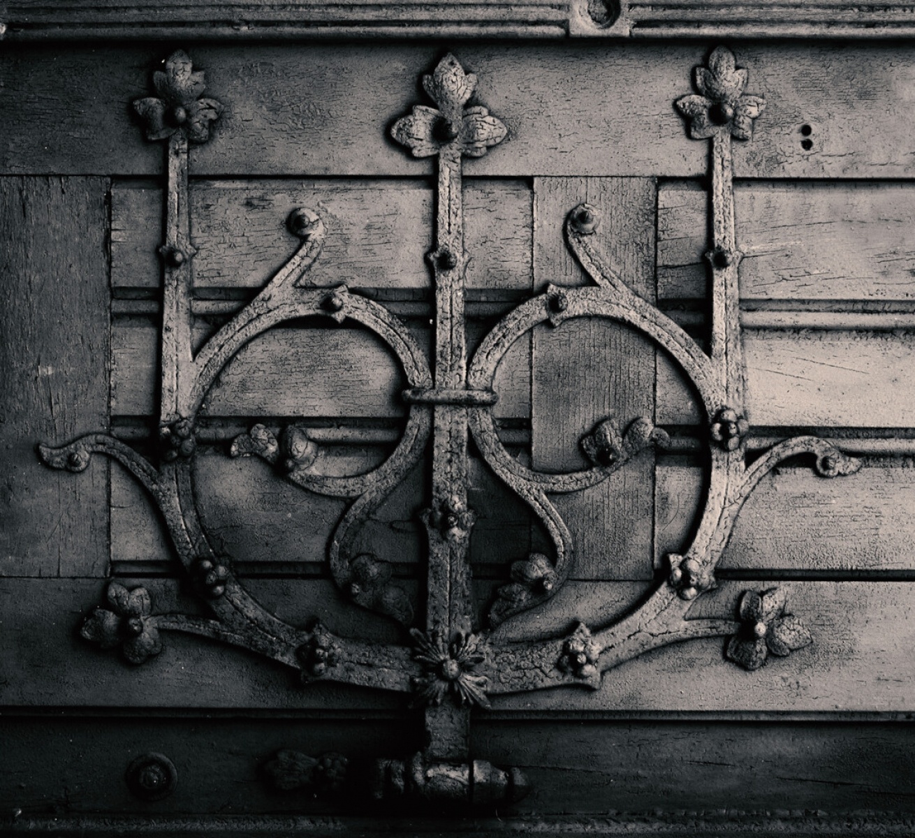 Zdjęcie w galerii na portalu naszraciborz.pl: Racibórz niecodzienny. Wystawa fotografii studentek PWSZ wiadomości z regionu