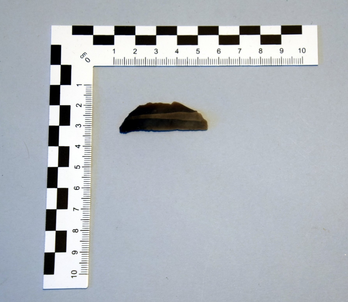 Zdjęcie w galerii na portalu naszraciborz.pl: Kolejne odkrycia archeologiczne na Cegielnianej w Raciborzu wiadomości z regionu