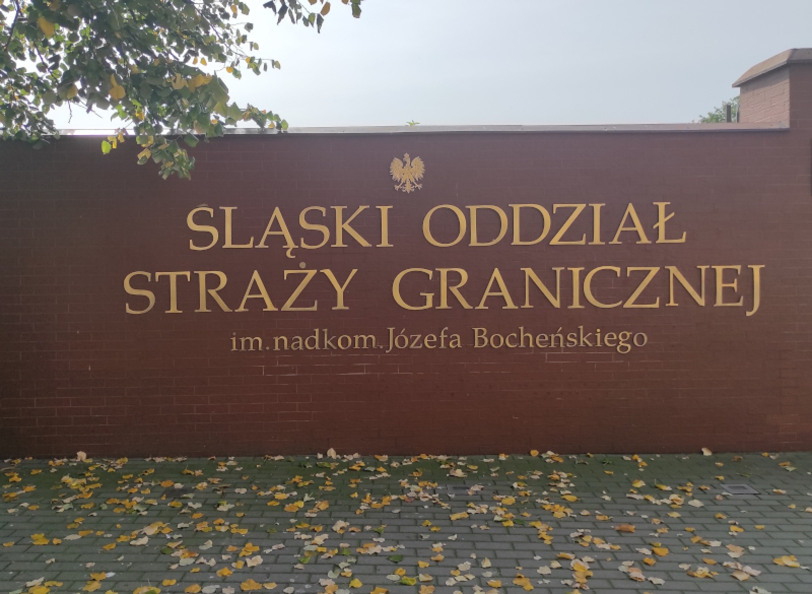 Zdjęcie w galerii na portalu naszraciborz.pl: Pięciu Afgańczyków ukrytych w pojeździe ciężarowym. Śląska SG o presji migracyjnej z kierunku zachodniobałkańskiego wiadomości z regionu