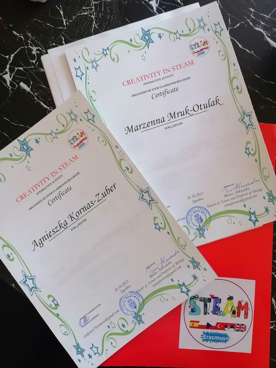 Zdjęcie w galerii na portalu naszraciborz.pl: Nauczycielki z Brzeźnicy na warsztatach w Serbii wiadomości z regionu