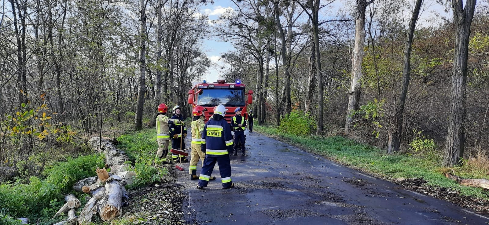 Zdjęcie w galerii na portalu naszraciborz.pl: Raport 998. Silny wiatr dał się we znaki strażakom wiadomości z regionu