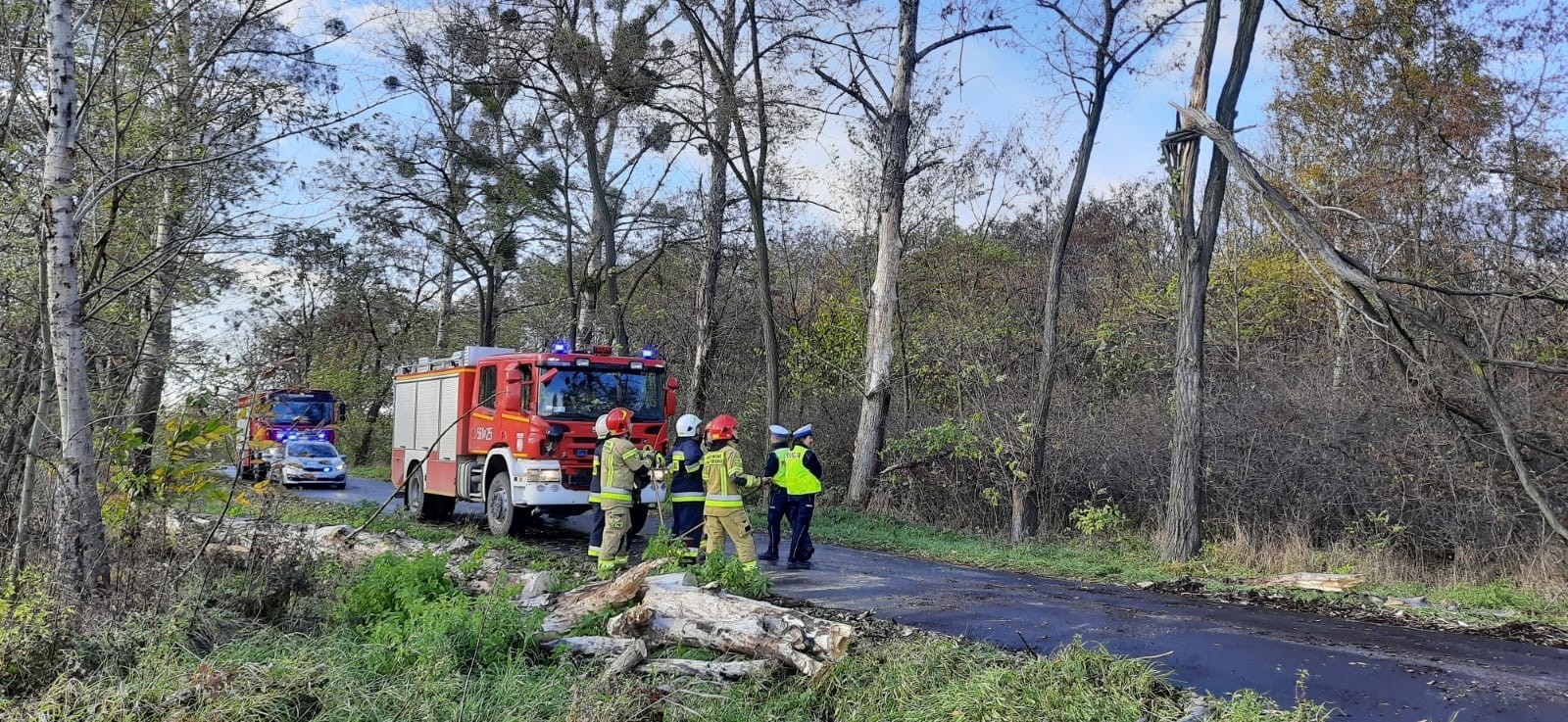 Zdjęcie w galerii na portalu naszraciborz.pl: Raport 998. Silny wiatr dał się we znaki strażakom wiadomości z regionu