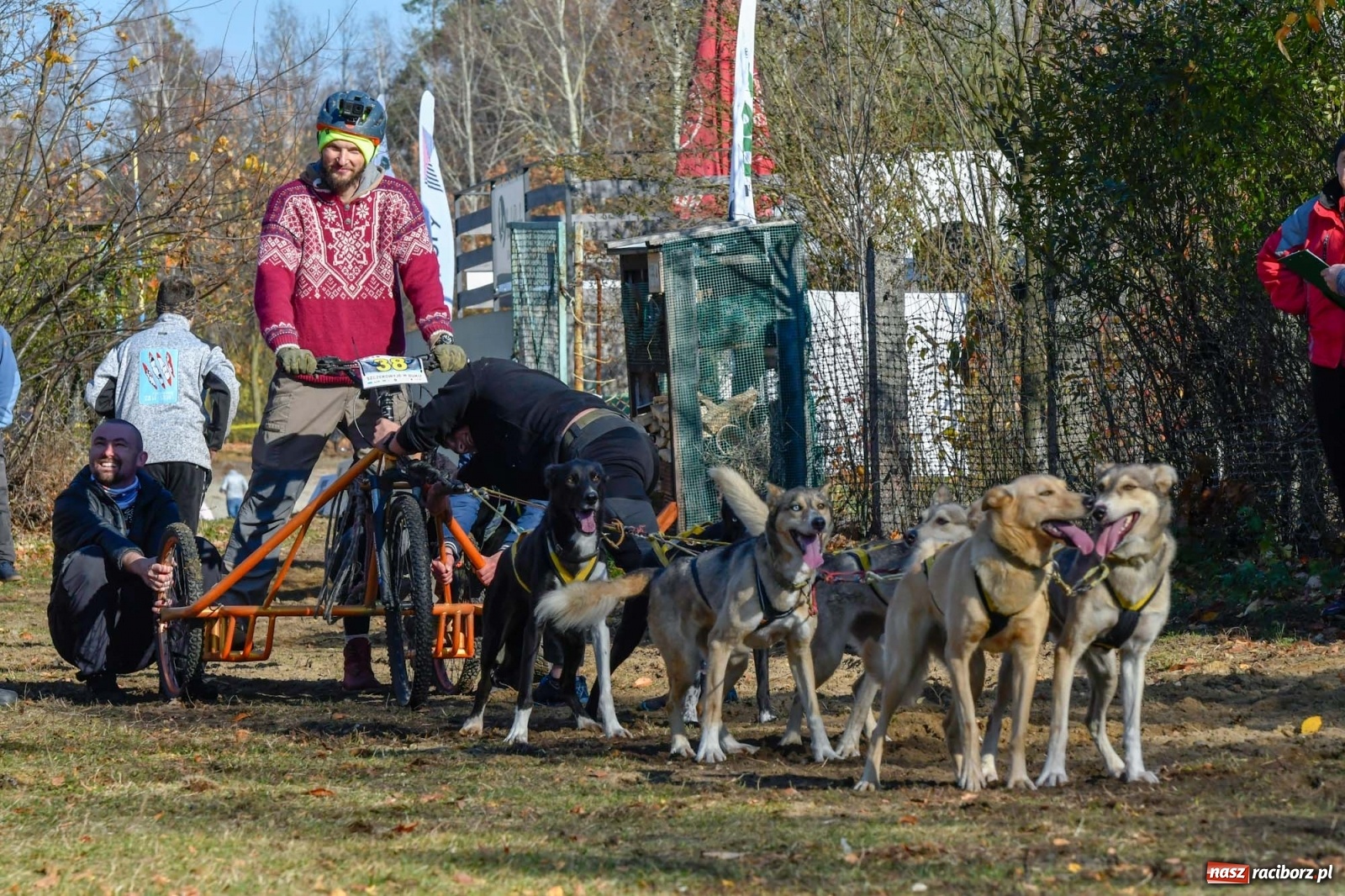 Zdjęcie w galerii na portalu naszraciborz.pl: Kuźnia Raciborska. Międzynarodowe Wyścigi Psich Zaprzęgów SZCZEKOWYJE wiadomości z regionu