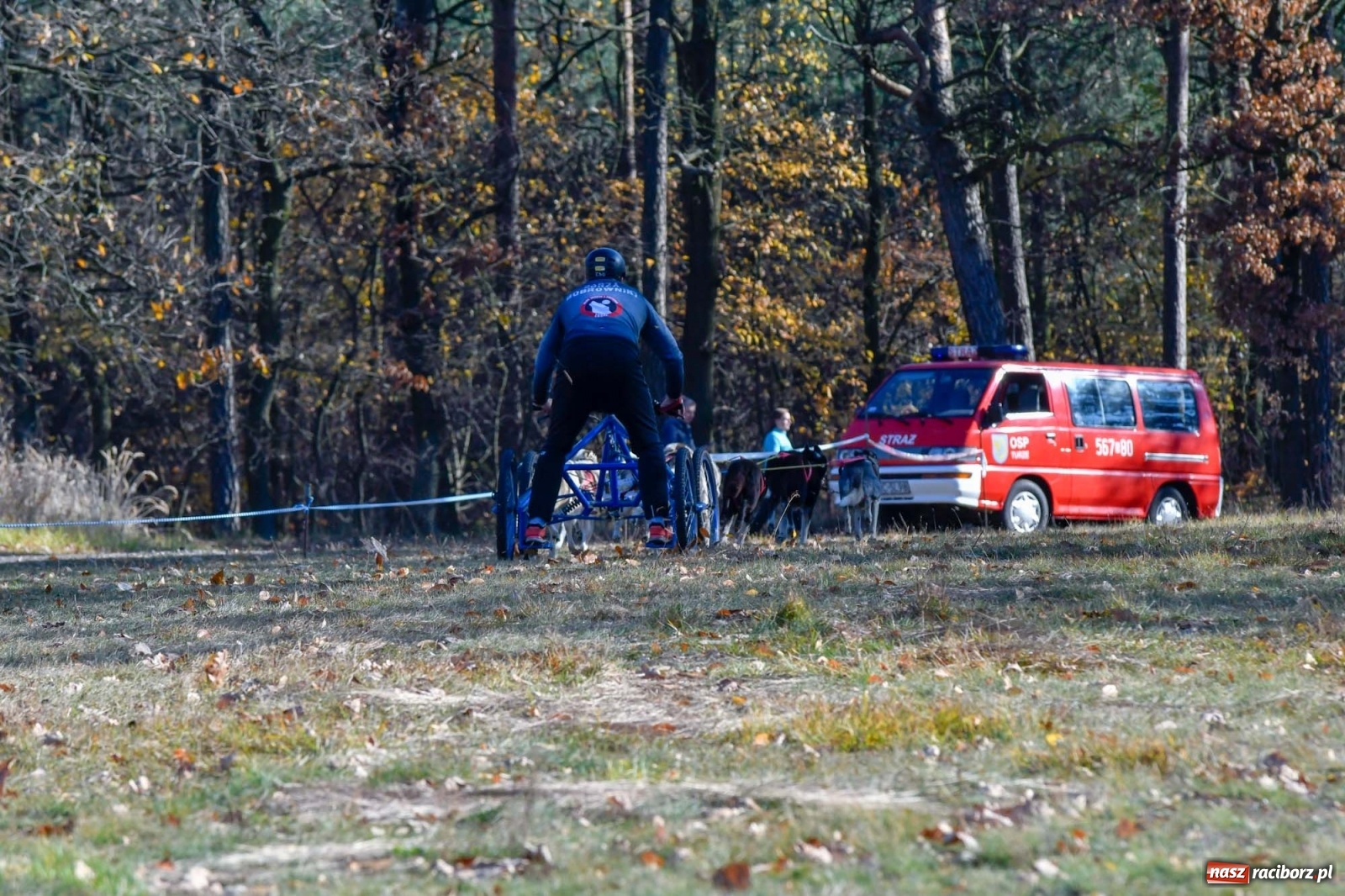 Zdjęcie w galerii na portalu naszraciborz.pl: Kuźnia Raciborska. Międzynarodowe Wyścigi Psich Zaprzęgów SZCZEKOWYJE wiadomości z regionu