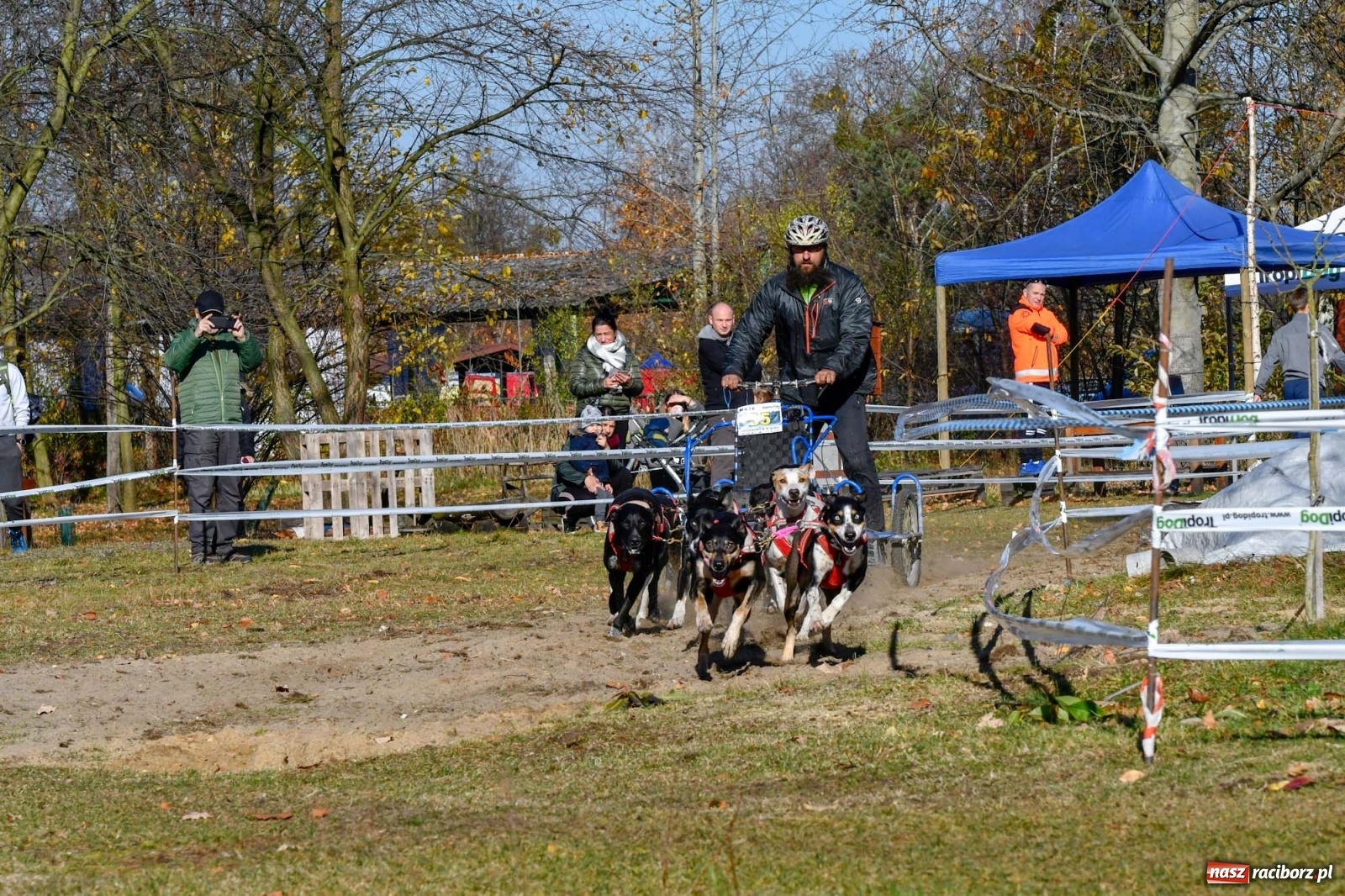 Zdjęcie w galerii na portalu naszraciborz.pl: Kuźnia Raciborska. Międzynarodowe Wyścigi Psich Zaprzęgów SZCZEKOWYJE wiadomości z regionu