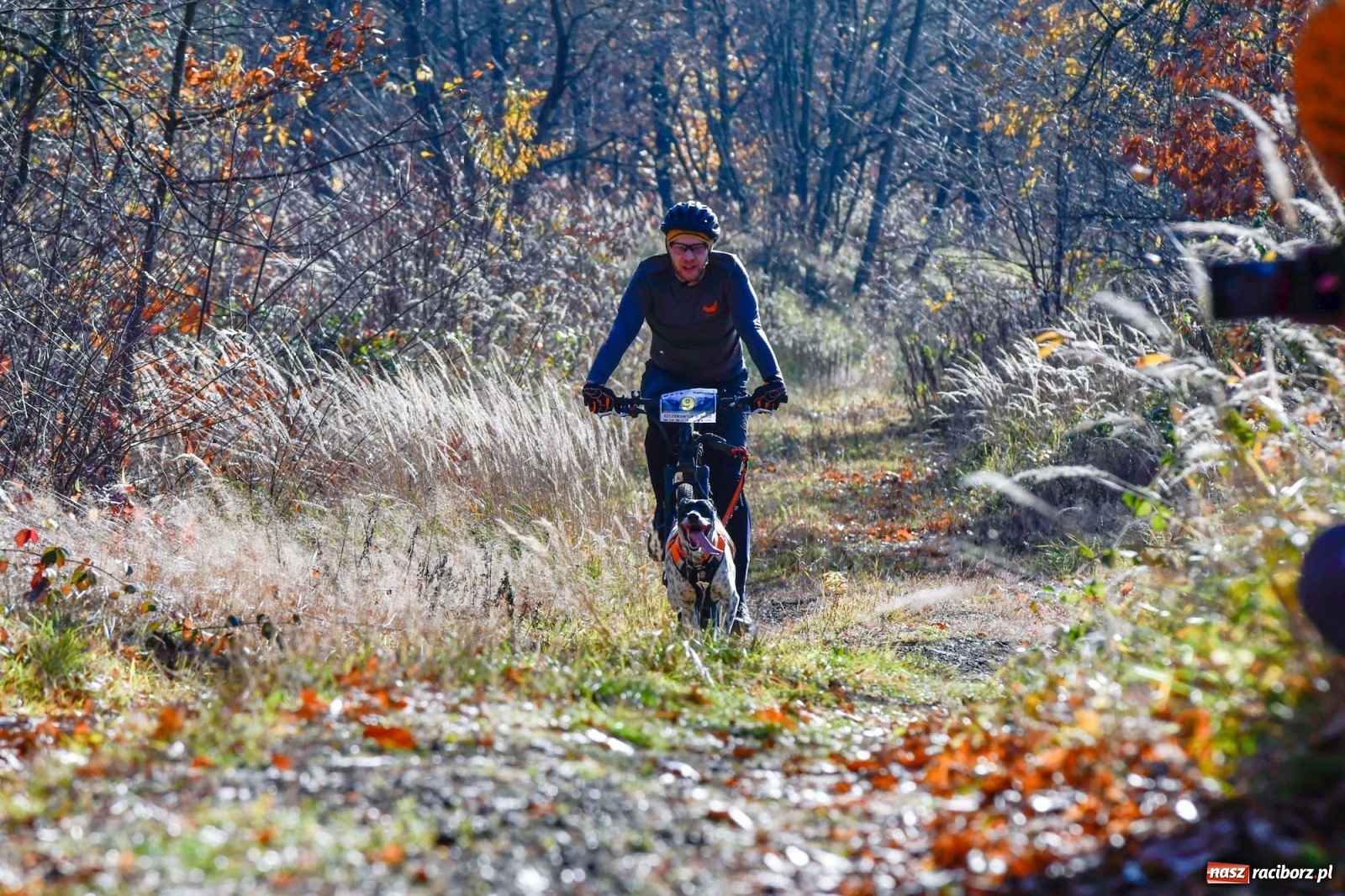 Zdjęcie w galerii na portalu naszraciborz.pl: Kuźnia Raciborska. Międzynarodowe Wyścigi Psich Zaprzęgów SZCZEKOWYJE wiadomości z regionu