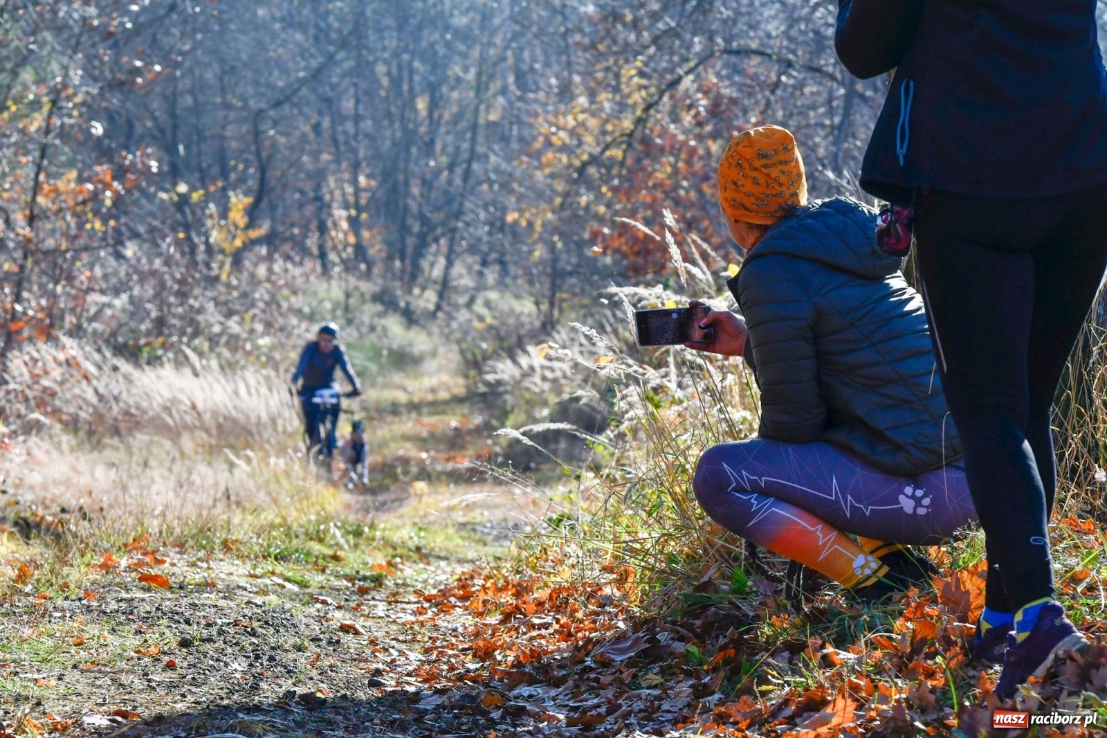 Zdjęcie w galerii na portalu naszraciborz.pl: Kuźnia Raciborska. Międzynarodowe Wyścigi Psich Zaprzęgów SZCZEKOWYJE wiadomości z regionu