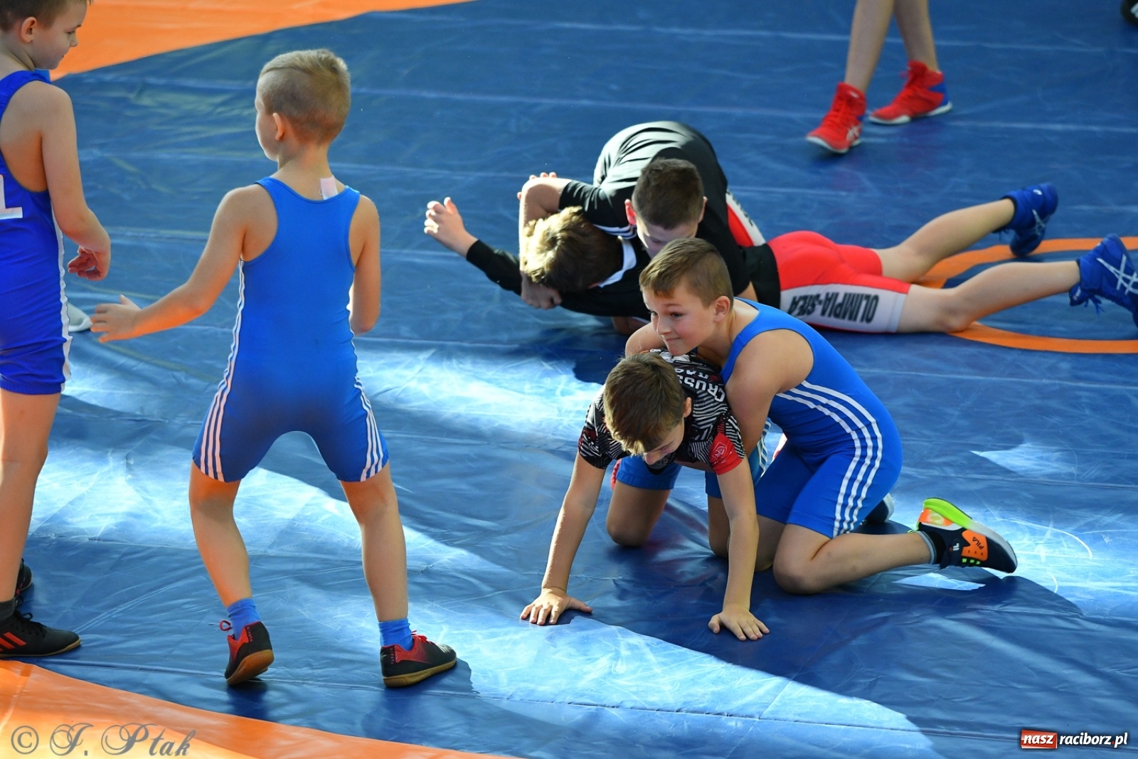 Zdjęcie w galerii na portalu naszraciborz.pl: Zapaśnicza Unia Racibórz świętuje 75-lecie klubu wiadomości z regionu