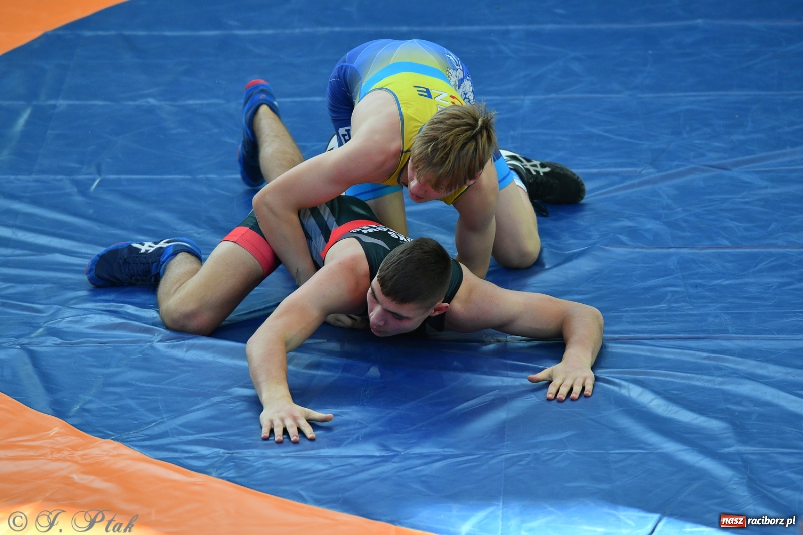 Zdjęcie w galerii na portalu naszraciborz.pl: Zapaśnicza Unia Racibórz świętuje 75-lecie klubu wiadomości z regionu