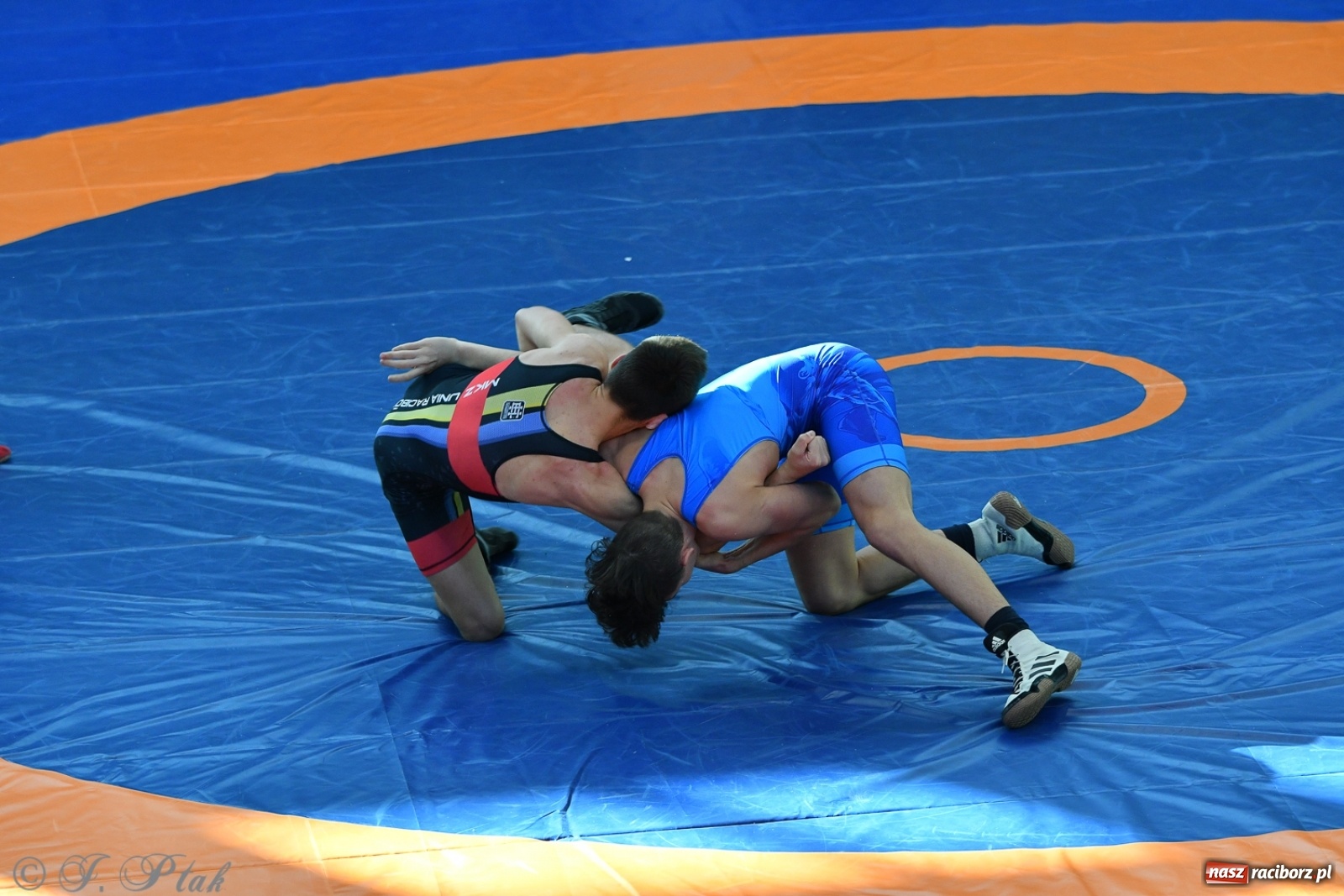 Zdjęcie w galerii na portalu naszraciborz.pl: Zapaśnicza Unia Racibórz świętuje 75-lecie klubu wiadomości z regionu