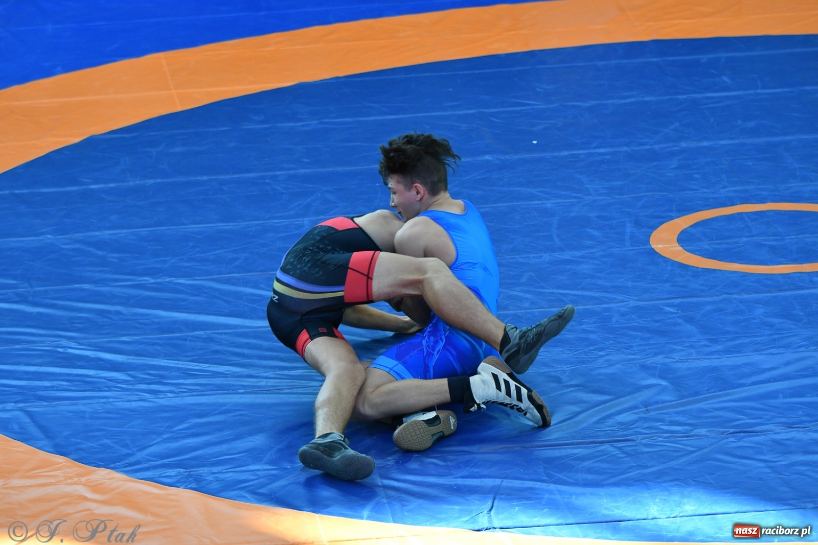 Zdjęcie w galerii na portalu naszraciborz.pl: Zapaśnicza Unia Racibórz świętuje 75-lecie klubu wiadomości z regionu