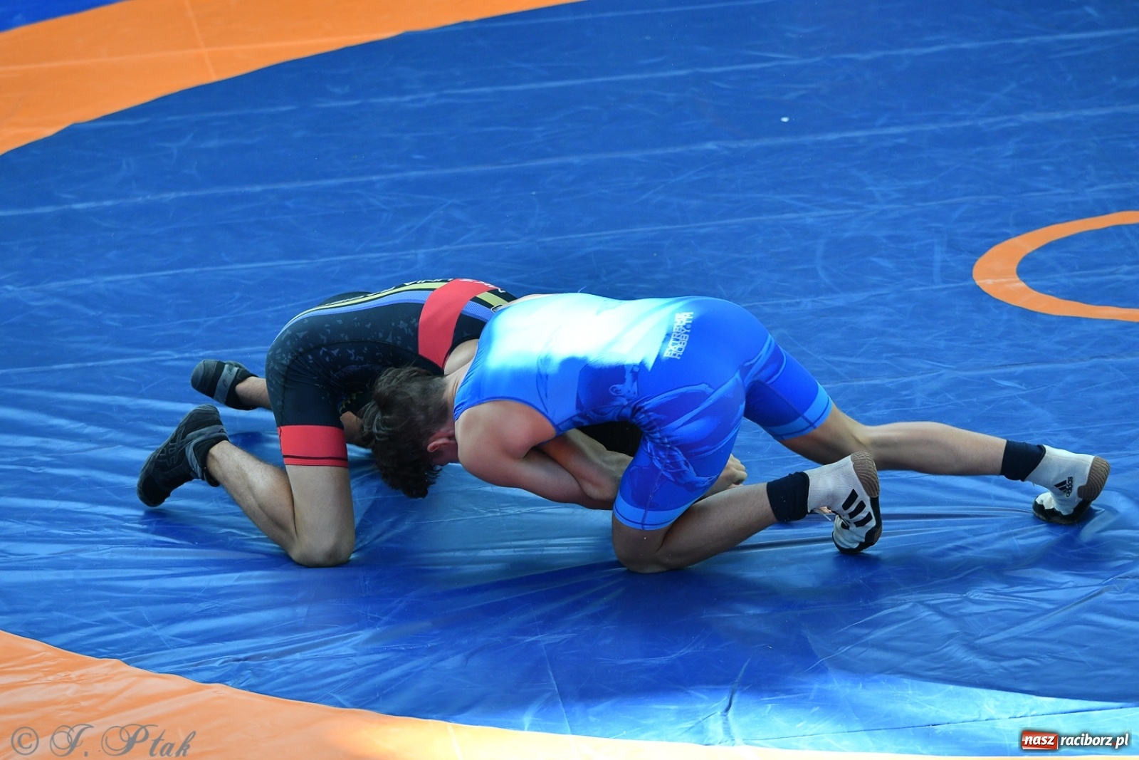 Zdjęcie w galerii na portalu naszraciborz.pl: Zapaśnicza Unia Racibórz świętuje 75-lecie klubu wiadomości z regionu