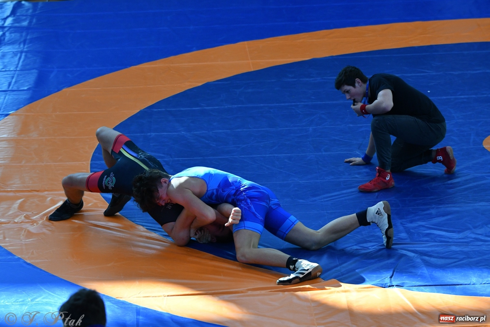 Zdjęcie w galerii na portalu naszraciborz.pl: Zapaśnicza Unia Racibórz świętuje 75-lecie klubu wiadomości z regionu