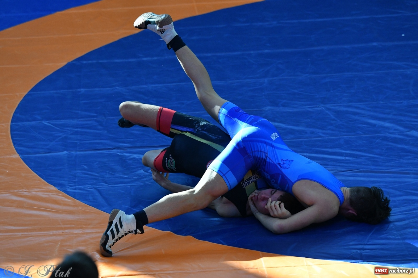 Zdjęcie w galerii na portalu naszraciborz.pl: Zapaśnicza Unia Racibórz świętuje 75-lecie klubu wiadomości z regionu