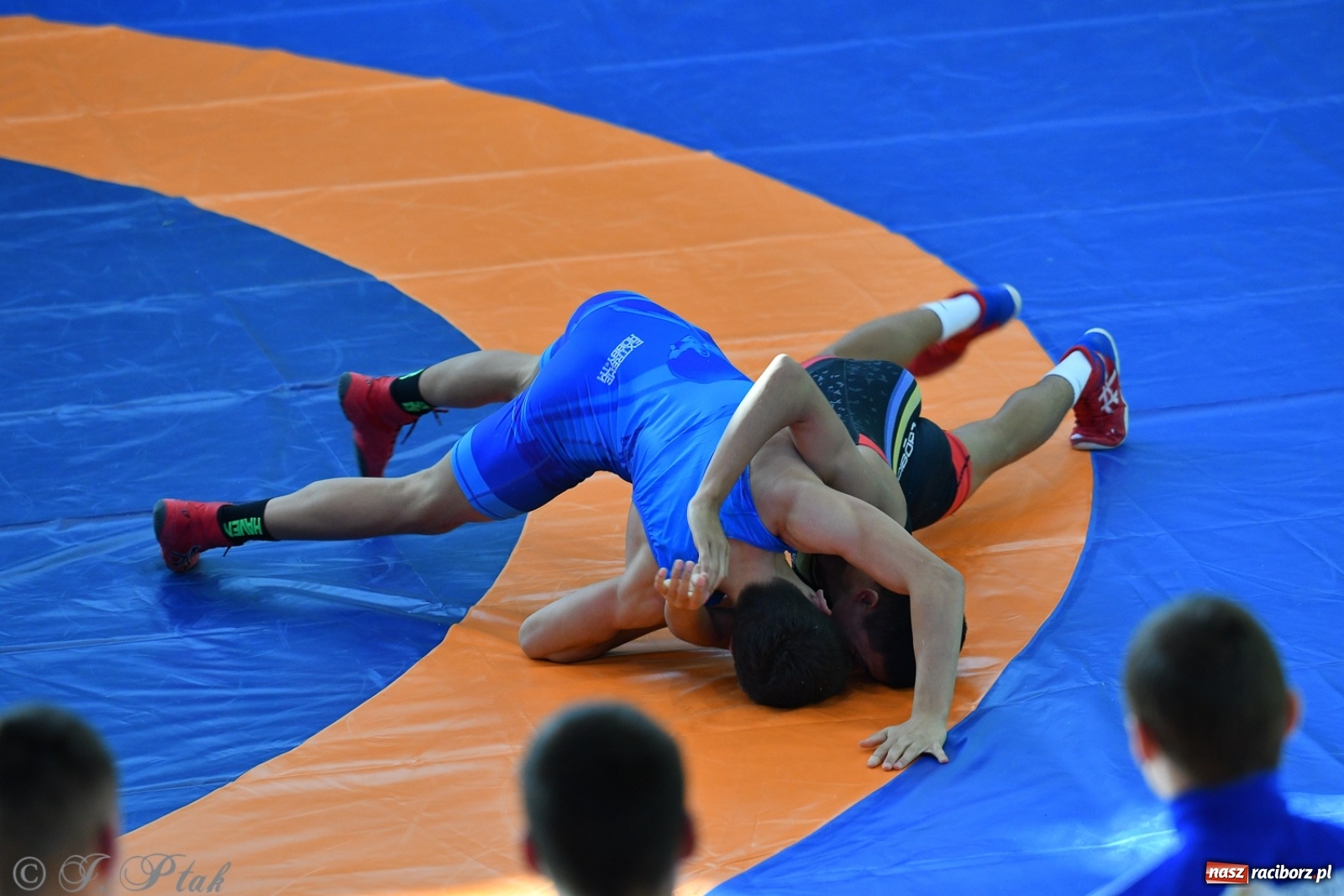 Zdjęcie w galerii na portalu naszraciborz.pl: Zapaśnicza Unia Racibórz świętuje 75-lecie klubu wiadomości z regionu