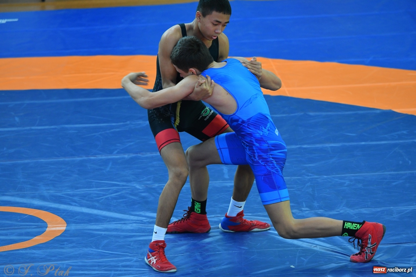 Zdjęcie w galerii na portalu naszraciborz.pl: Zapaśnicza Unia Racibórz świętuje 75-lecie klubu wiadomości z regionu